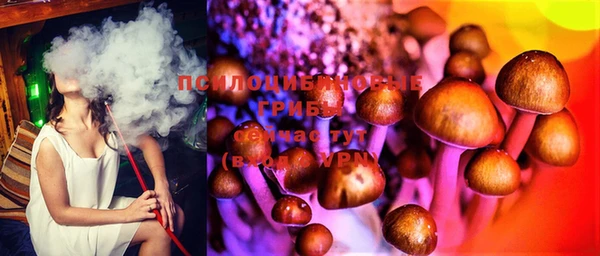 шишки Алзамай