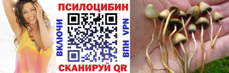 Псилоцибиновые грибы Magic Shrooms  mega маркетплейс  Елизаветинская 