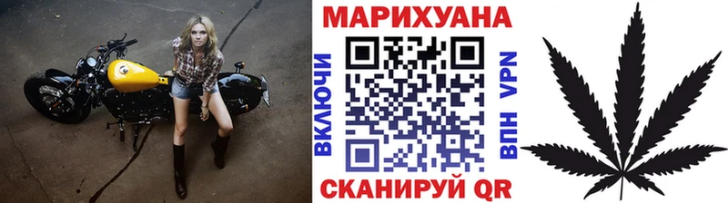 где купить наркотик  Елизаветинская  Канабис ГИДРОПОН 